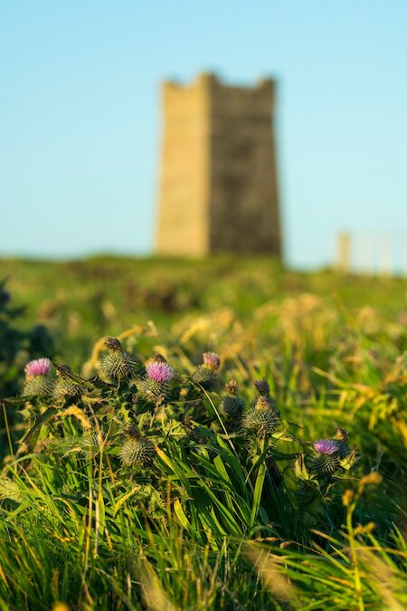nature and history Orkney tours: Kitchener memorial