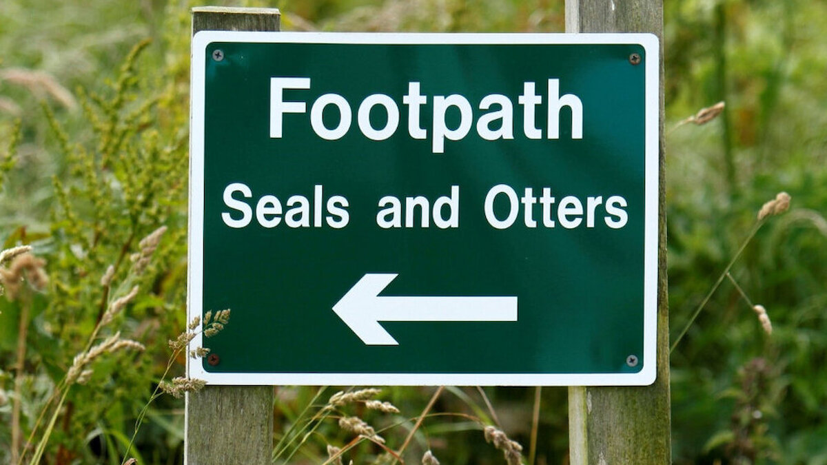 Orkney wildlife tours